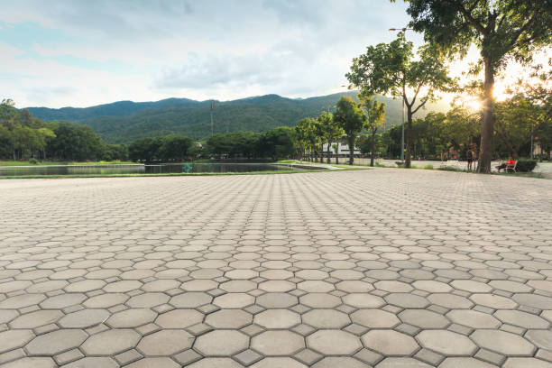 Reasons to Select Us for Your Driveway Paving Requirements in Martha Lake, WA